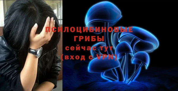 трава Саяногорск