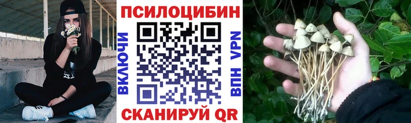 Галлюциногенные грибы GOLDEN TEACHER  как найти наркотики  KRAKEN ТОР  Калач 